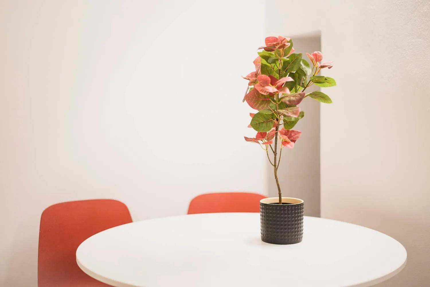 Acquario House Apartment Genoa 0*,